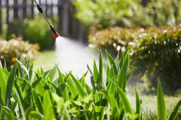 24/7 Emergency Mosquito Control experts in Wynnewood, OK